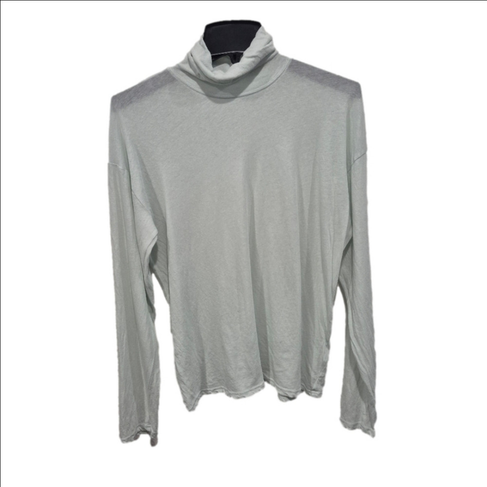 EVERLANE Mint Semi-Sheer Cotton Long Sleeve Turtleneck